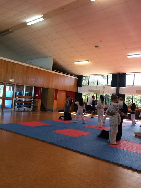 Kingsland Martial Arts
