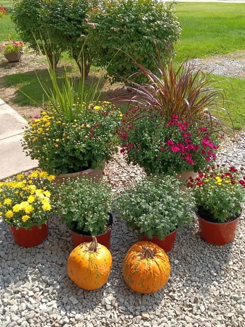 Fulmer's Farmers Market