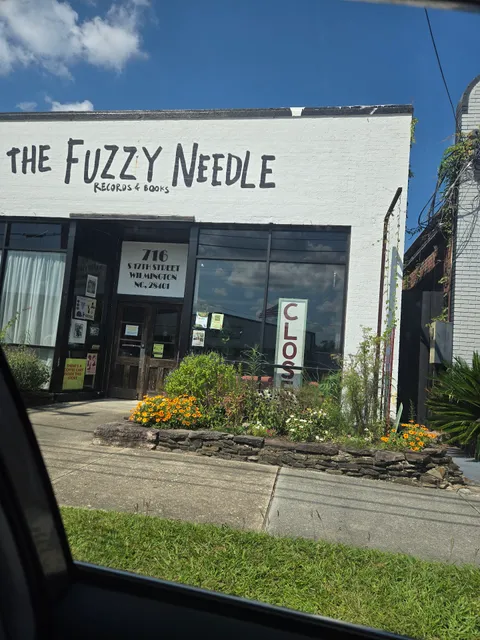 The Fuzzy Needle Records & Books
