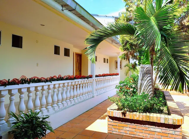 Hotel Villa de las Palmas