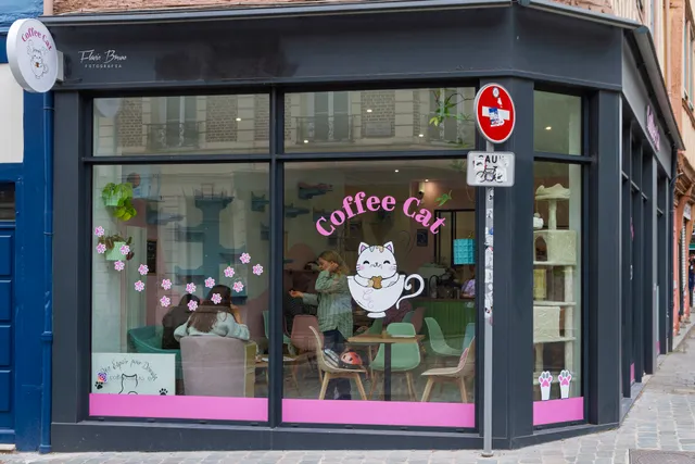 Coffee Cat - Bar à chats