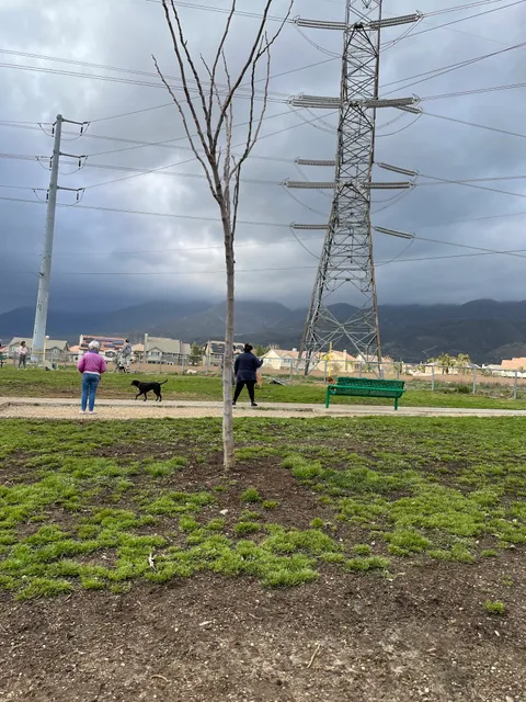 Fontana Dog Park