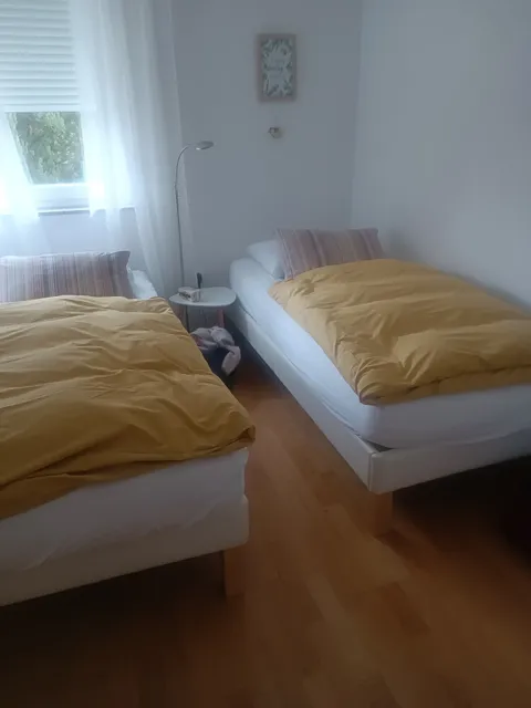 Charmin Maraska Zadar, Zadar