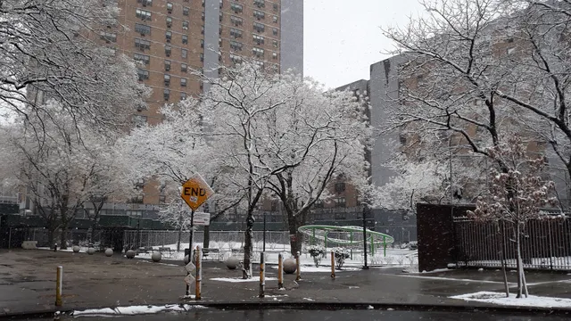 Tanya Towers Community Residence