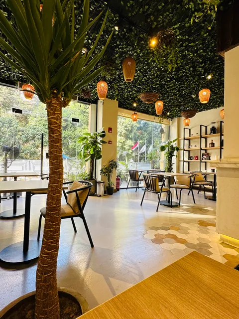 Haven Specialty Coffee