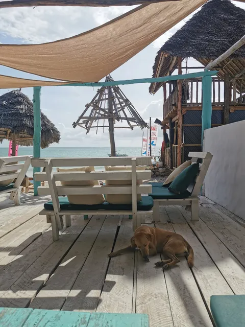 Mwananchi kite surfing and bungalows