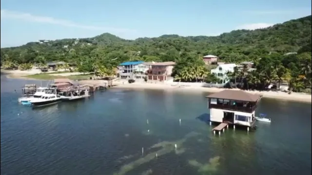 Turtle Casa Roatan Vacation Rental