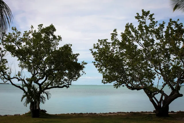 Bennetts Beach Estate, Joyce Bennett, LLC