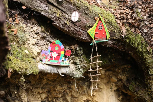 Horoeka Scenic Reserve