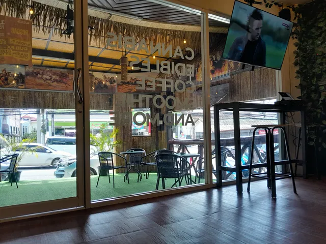 The Green Spot Patong , Cannabis Dispensary - Best Weed in Phuket