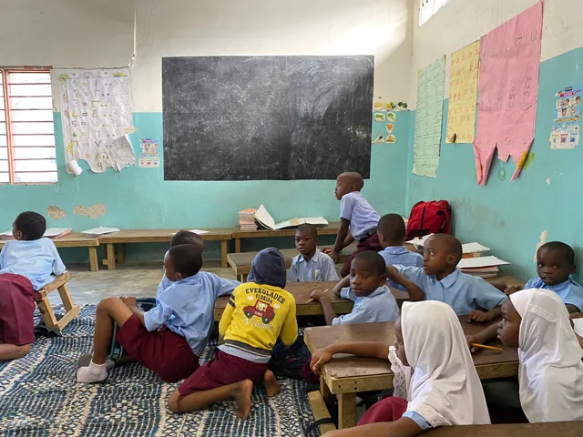 Tanzania Zanzibar International Volunteer Association