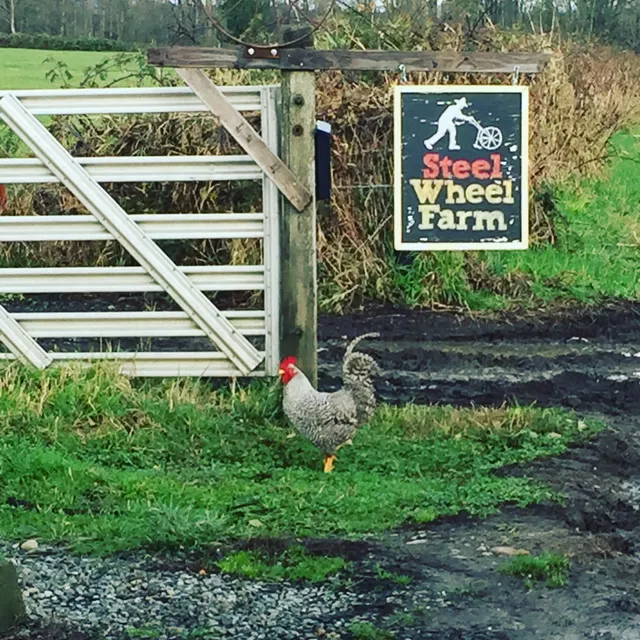 Steel Wheel Farm
