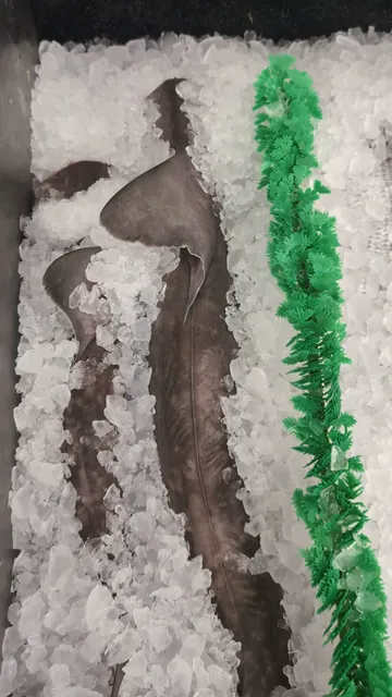 Waterman Square Shopping Center