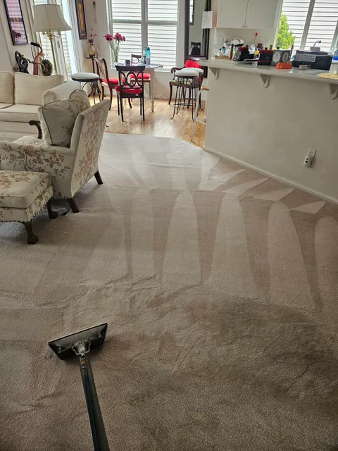 The Magic Wand Cleaning, LLC