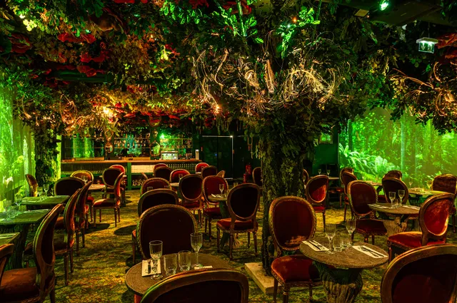 Wonderwoods by Ephemera - Atoll