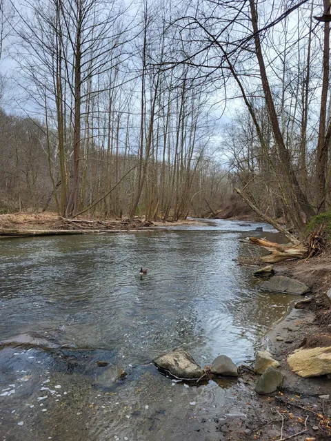 Patapsco Valley State Park - Pickall Area