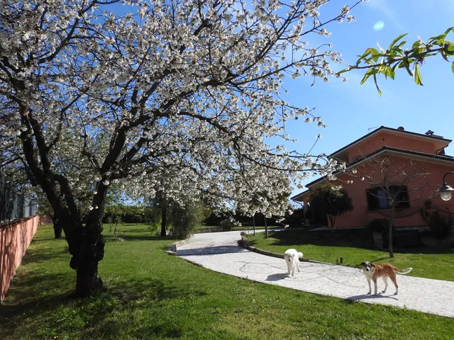 Alloggio Turistico confortevole Reino Trasei