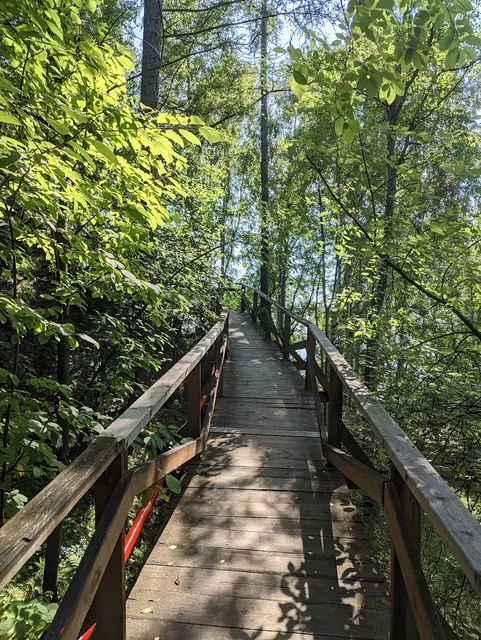 Dendropark Baykal'skogo Muzeya