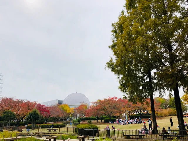 ラガーステーション花園