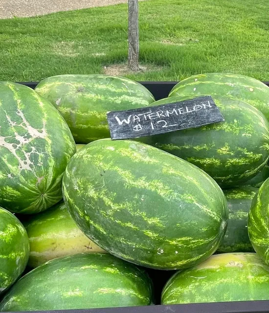 Happy Hollow Fountain