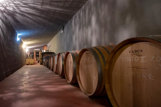 Bodega Conde de SUYROT