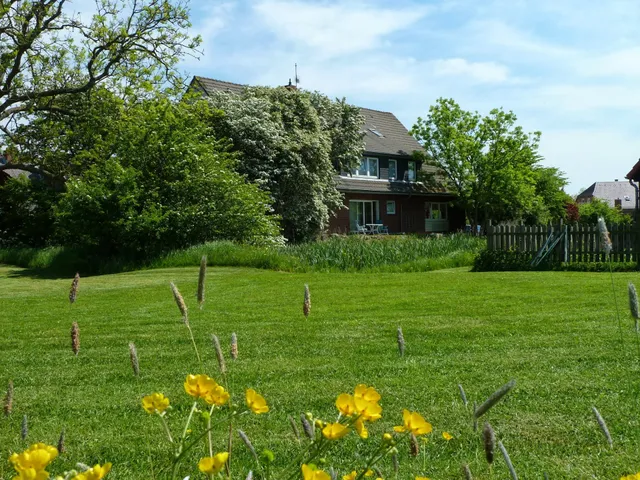 Ferienwohnungen Haus Widder