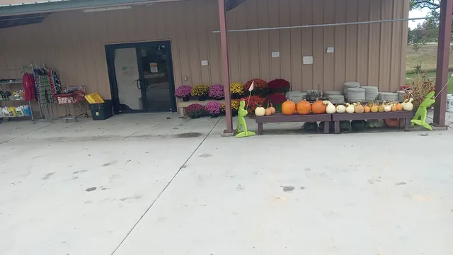 Bag Lady Discount Grocery