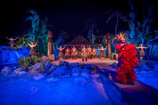 Fish Eye Island Cultural Dinner Show