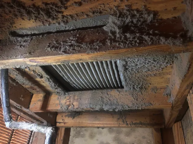 Big Easy Environmental Services