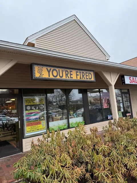 You're Fired Paint Your Own