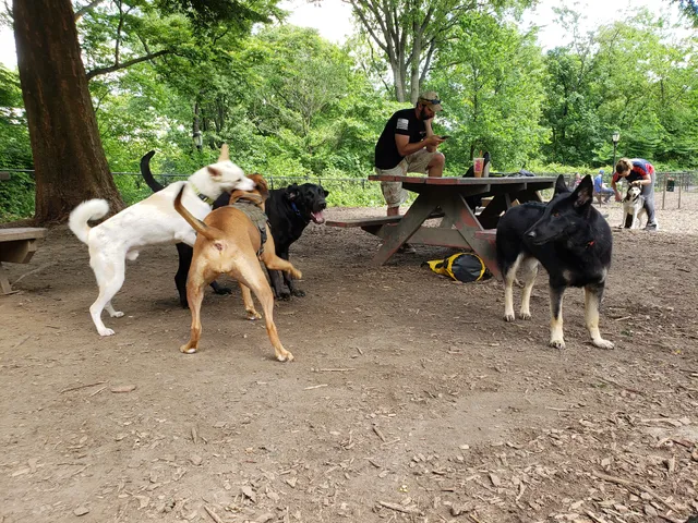 Sir William's Dog Run