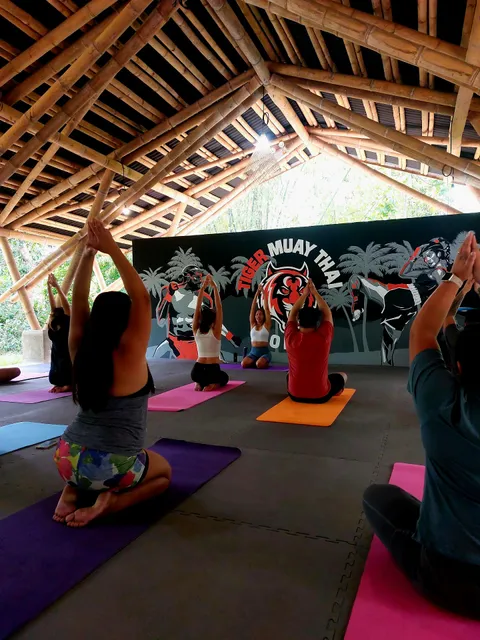Tiger Muay Thai Bohol