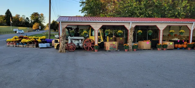 Virginia-Carolina Enterprises