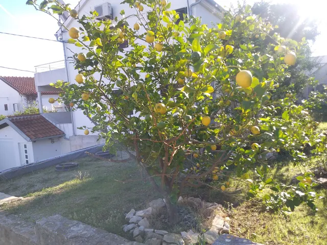 Silver Beach Apartments Vis