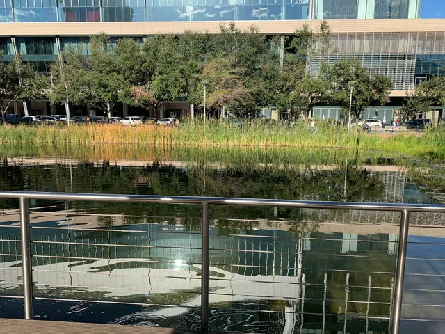 Discovery Green Dog Run