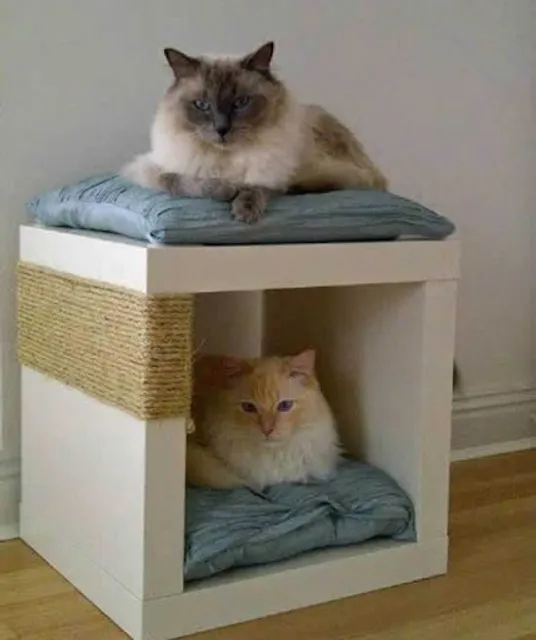 urubudega Bar, Coffe & Vibes