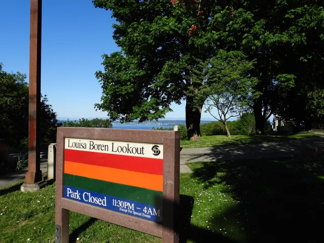 Louisa Boren Lookout