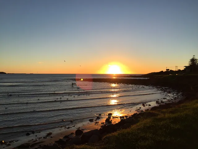 Lazy Dayz Shellharbour
