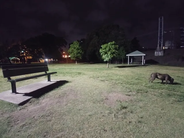 Milton Park Dog Off Leash Area