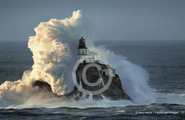 Fairweather House and Gallery