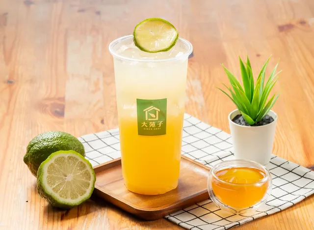 大苑子茶飲專賣店 (梧棲文化店)