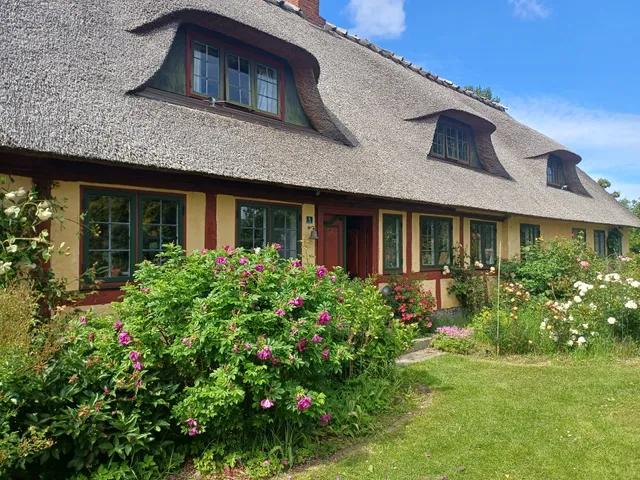 Lille Græsgård Feriegård & Farmcamping