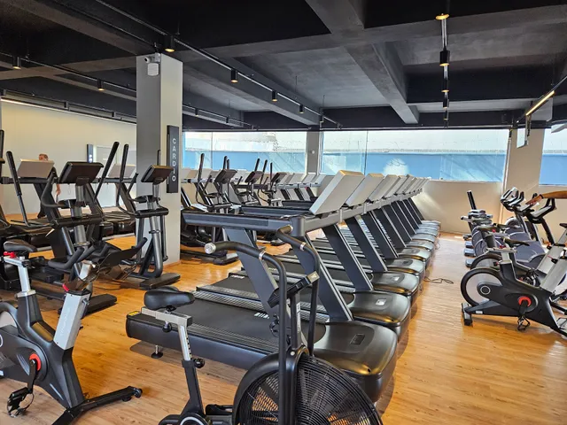 A Melhor Academia (Cursino)