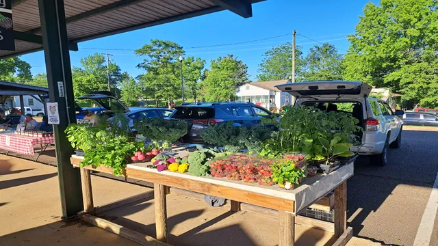 Hitching Lot Farmer's Market