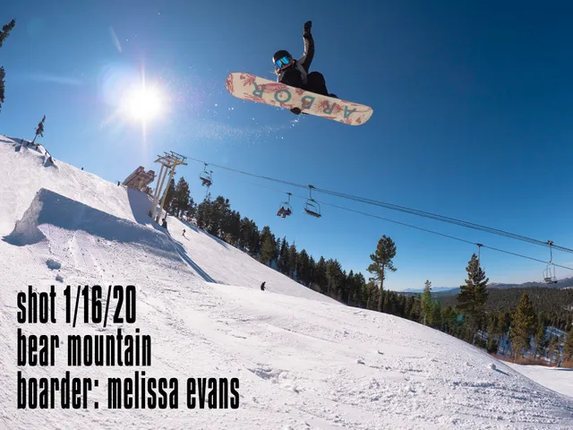 ATTIC / Big Bear Boards Inc.