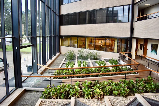 McGovern Allergy and Asthma Clinic