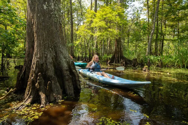A New Orleans Kayak Tour