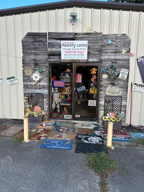 Walking Down Memory Lanes