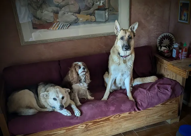 This End Up Furniture Co.