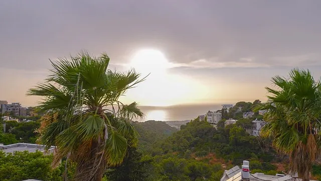 Luxury Suites by Notaly Ariel